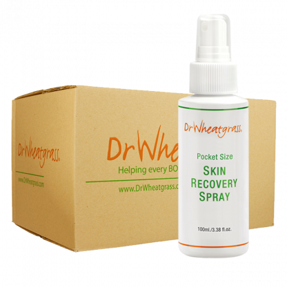 100ml Pocket Spray (BOX-24 units)